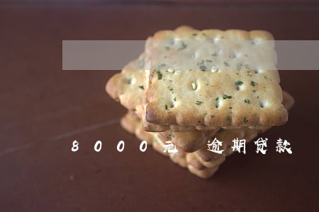 8000元 逾期贷款 8000元 逾期贷款